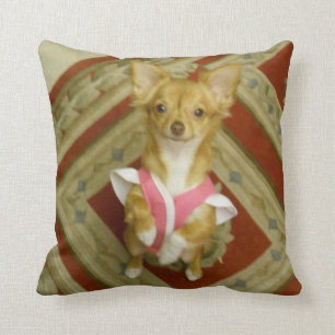 Bitten des Chihuahuabaumwollkissens Kissen