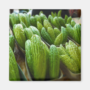 Bitterer Melone-Gurken-Stadt-Markt Kansas City Magnet