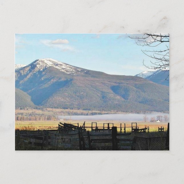 Bitterroot Mountains Felder Postkarte (Vorderseite)