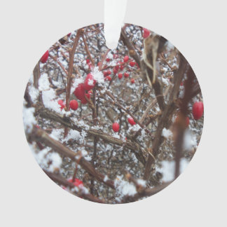 Bittersüße Beeren-Verzierung Ornament