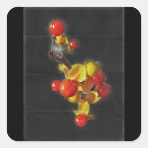 Bittersüße Berries - Herbstschönheit Quadratischer Aufkleber