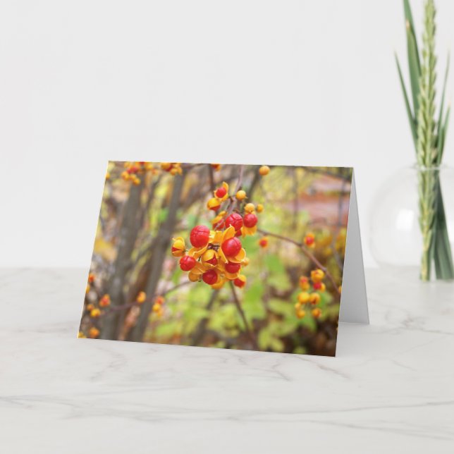 Bittersüße Berries Karte (Vorderseite)