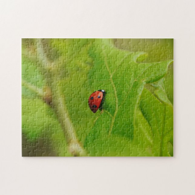 Bizarre de Ladybug en vert Feuille Puzzle de la na (Horizontal)