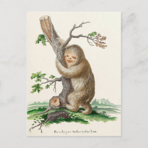 Bizarre Vintage-Faultier-Illustration Postkarte