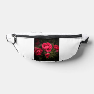 Bizierstyersk Bauchtasche