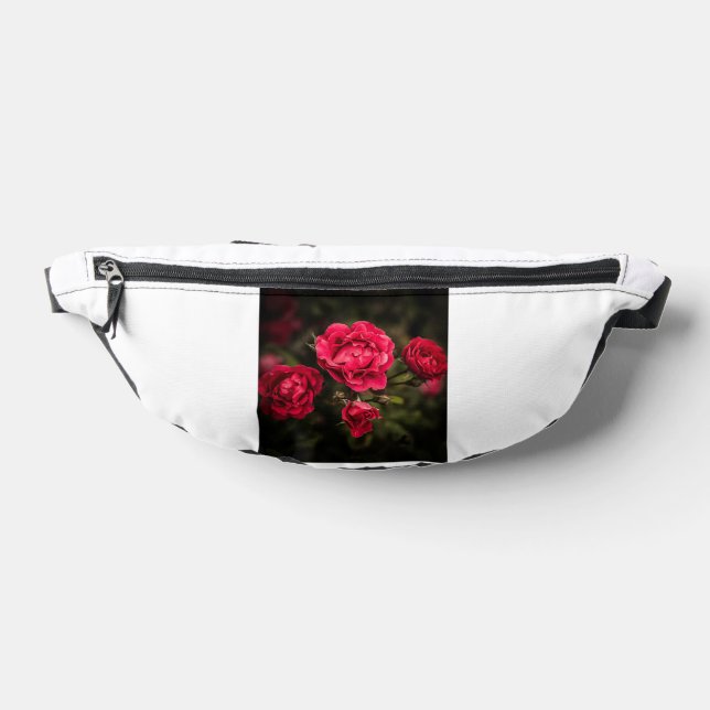 Bizierstyersk Bauchtasche (Ablage )