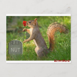 BizzareWorld Trauerquirrel Postkarten