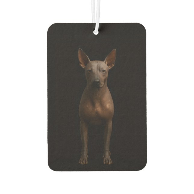Black 4 Luxe Car Air Fresheners Argentina Pila Dog Autolufterfrischer (Rückseite)