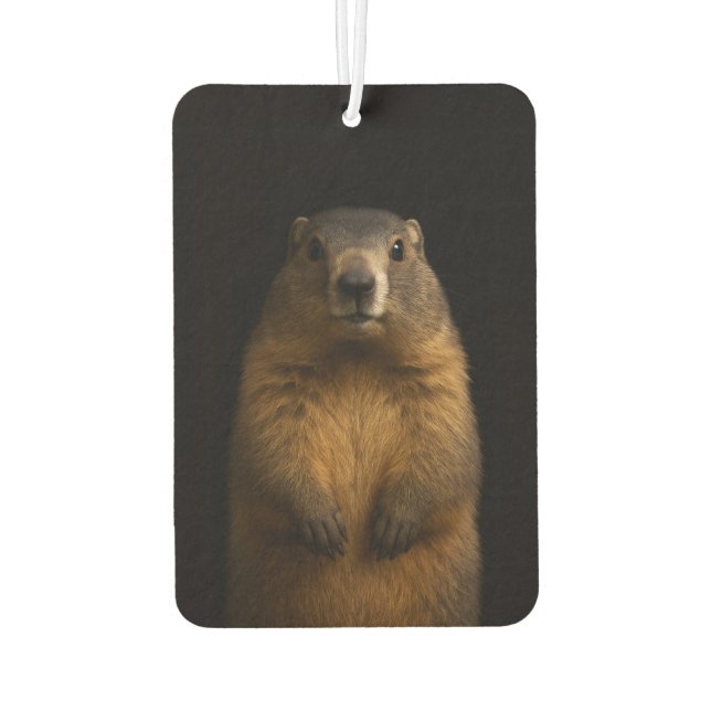 Black 4 Luxe Car Air Fresheners, Fluffy Marmot Autolufterfrischer (Rückseite)