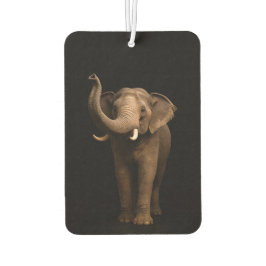Black 4 Luxe Car Air Fresheners, Mighty Elephant Autolufterfrischer