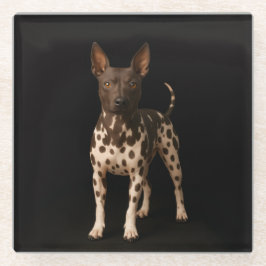 Black 4 Luxe Glass coaster, Hairless Terrier Dog Glasuntersetzer