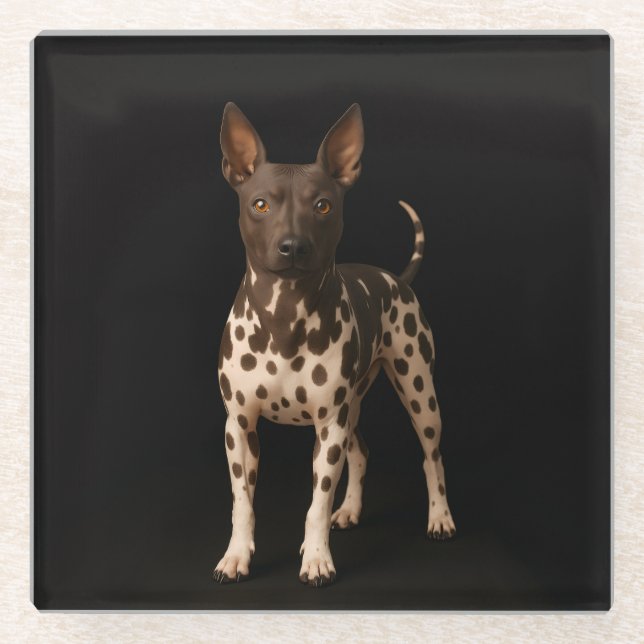 Black 4 Luxe Glass coaster, Hairless Terrier Dog Glasuntersetzer (Vorderseite)