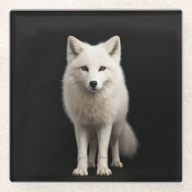 Black 4 Luxe Glass coaster, Ivory Arctic Fox