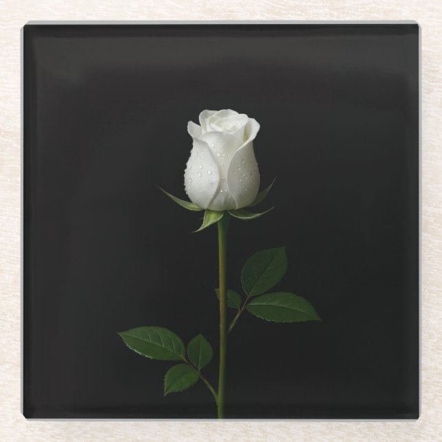 Black 4 Luxe Glass coaster, Pure White Rose Glasuntersetzer (Vorderseite)