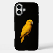 Black 4 Luxe iPhone 16 Plus, Golden Parakeet