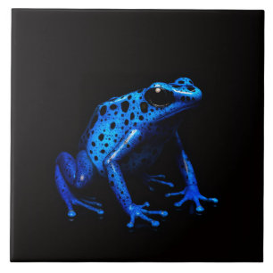 Black 4 Luxe Tile mit Blue Electric Frog Fliese