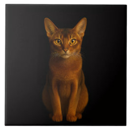 Black 4 Luxe Tile with Abyssinian Beauty Fliese