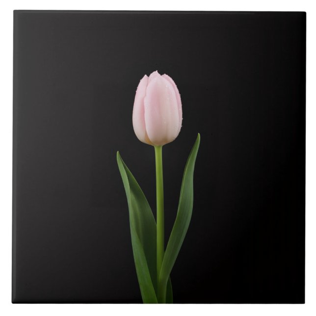 Black 4 Luxe Tile with Blush Pink Tulip Fliese (Vorderseite)