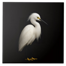 Black 4 Luxe Tile with Elegant Snowy Egret Fliese