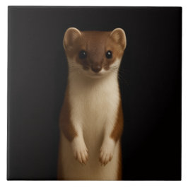 Black 4 Luxe Tile with Elegant Weasel Fliese