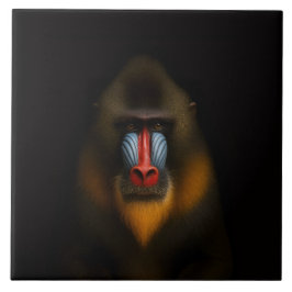 Black 4 Luxe Tile with Exotic Mandrill Monkey Fliese