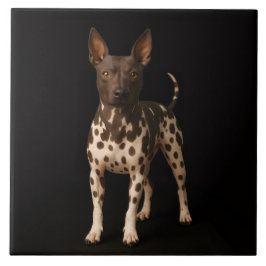 Black 4 Luxe Tile with Hairless Terrier Dog Fliese