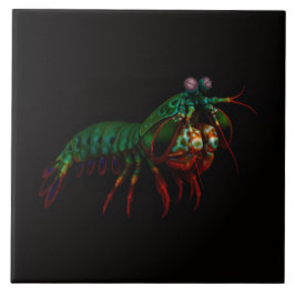 Black 4 Luxe Tile with Mantis Shrimp Fliese
