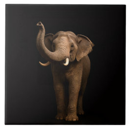 Black 4 Luxe Tile with Mighty Elephant Fliese