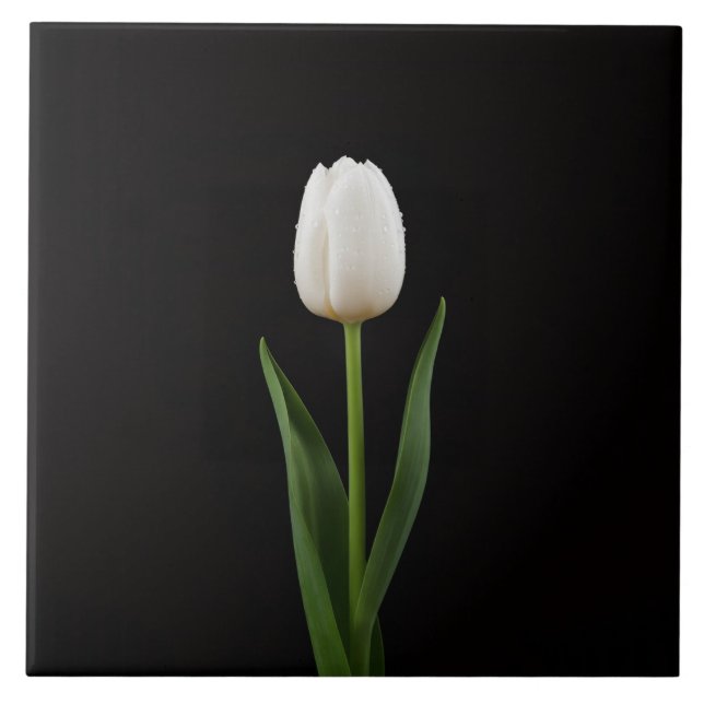 Black 4 Luxe Tile with Pearl White Tulip Fliese (Vorderseite)