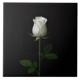 Black 4 Luxe Tile with Pure White Rose Fliese