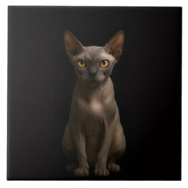 Black 4 Luxe Tile with Sphynx Cat Fliese