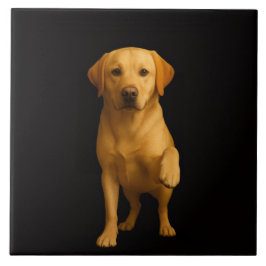 Black 4 Luxe Tile with Tender Labrador Fliese