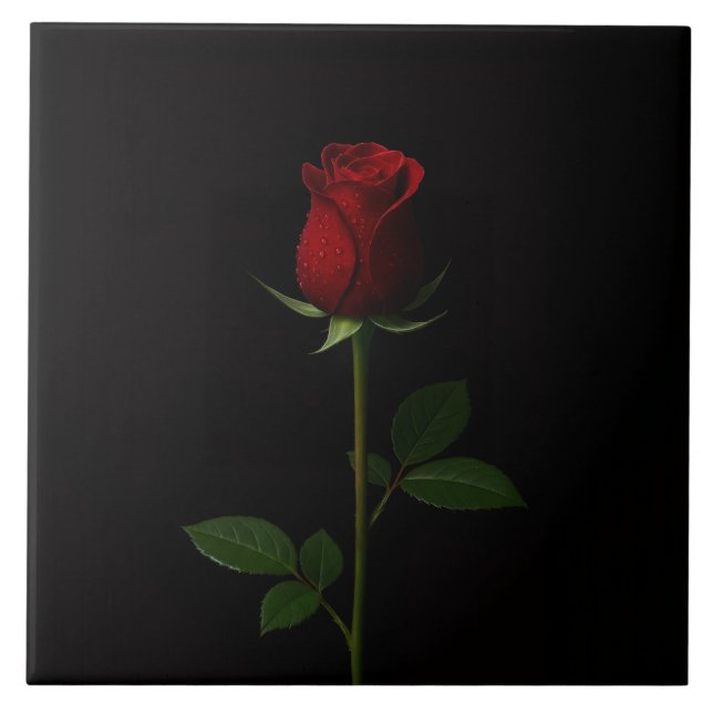 Black 4 Luxe Tile with Velvet Red Rose Fliese (Vorderseite)