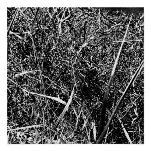 Black Alien Grass Poster