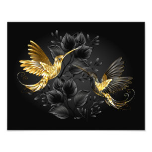 Black and Gold Hummingbird Fotodruck