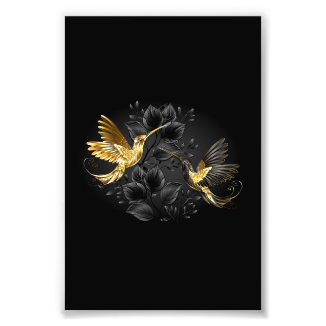 Black and Gold Hummingbird Fotodruck (Vorne)