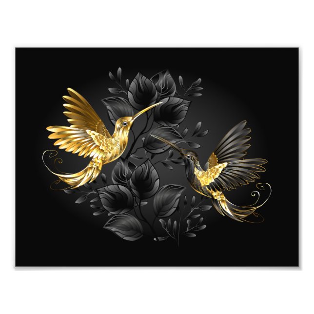 Black and Gold Hummingbird Fotodruck (Vorne)