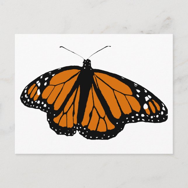 Black and Orange Monarch Butterfly Postkarte (Vorderseite)