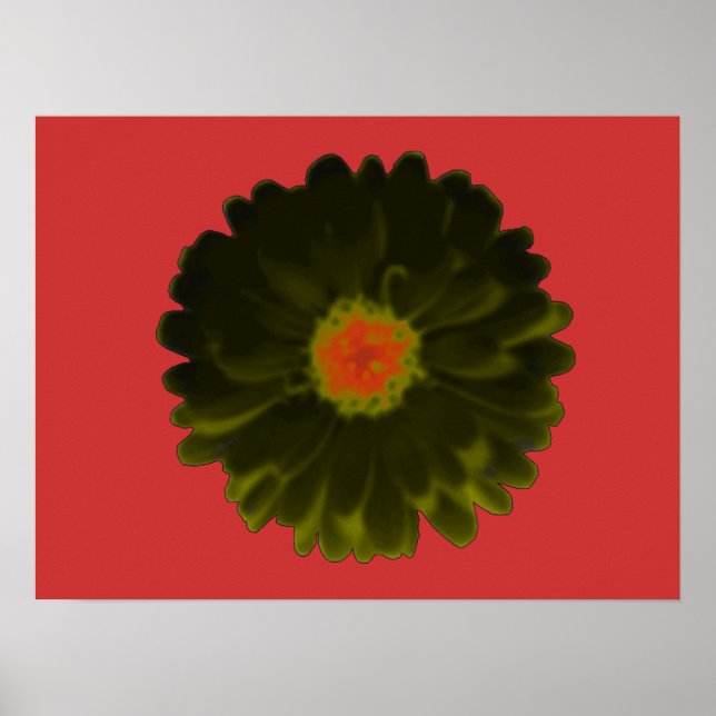 Black and Red Marigold Poster (Vorne)