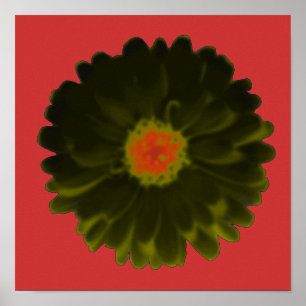 Black and Red Marigold Poster