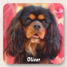 Black and Tan Cavalier King Charles Spaniel Dog Getränkeuntersetzer