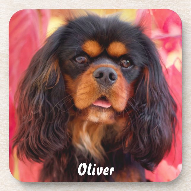 Black and Tan Cavalier King Charles Spaniel Dog Getränkeuntersetzer (Vorderseite)