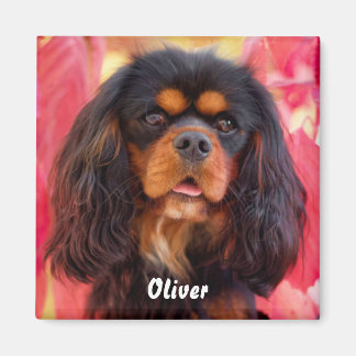 Black and Tan Cavalier King Charles Spaniel Dog Magnet