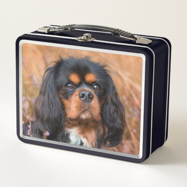 Black and Tan Cavalier King Charles Spaniel Dog Metall Brotdose (Vorderseite)