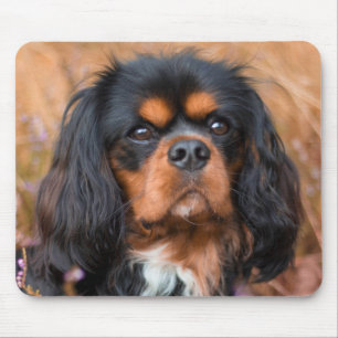 Black and Tan Cavalier King Charles Spaniel Dog Mousepad