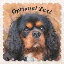 Black and Tan Cavalier King Charles Spaniel Dog