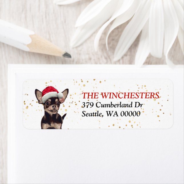 Black and Tan Chihuahua Weihnachtsmannmütze Addres (Insitu)