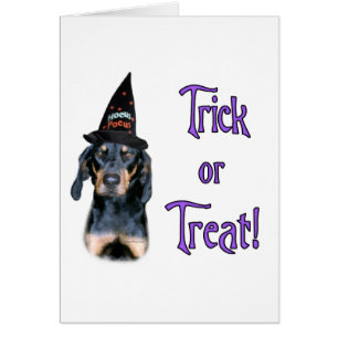 Black and Tan Coonhound Trick