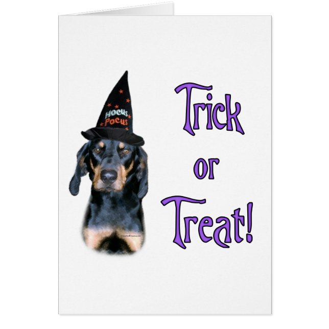 Black and Tan Coonhound Trick (Vorne)