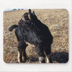 Black and Tan Kid Mousepad